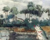 温斯洛 荷默 : Black Bass Florida